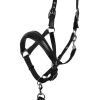 Cabeçada ergonómica Equestro com inserções em couro Preto / bordô