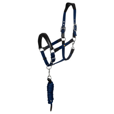Cabeçada ergonómica Equestro com inserções em couro Preto / azul-marinho