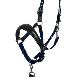 Cabeçada ergonómica Equestro com inserções em couro Preto / azul-marinho