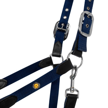 Cabeçada ergonómica Equestro com inserções em couro Preto / azul-marinho