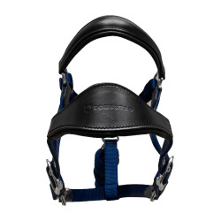 Cabeçada ergonómica Equestro com inserções em couro Preto / azul-marinho