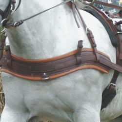 Bricole Anatômico Eric Le Tixerant