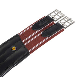 Cinta de salto Equestro em couro com protetor de fivelas Preto