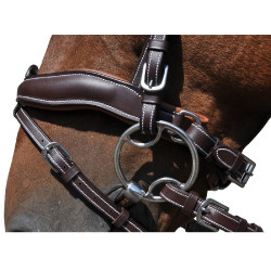 Bridon Flags & Cup Copenhague Noir