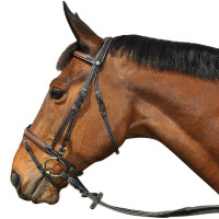 Bridon Flags & Cup Oslo Noir / camel