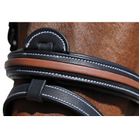 Bridon Flags & Cup Oslo Noir / camel