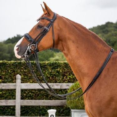 Bridão Dy'on coleção dressage couro liso Cilha Larga Envernizada