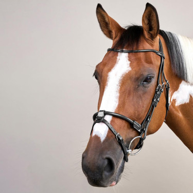 Bridão de couro redondo Working By Dy'on Preto Bridão de couro redondo Working By Dy'on Preto
