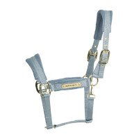 Cabresto de Veludo Kentucky Preto