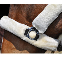 Licol de Transport Flags & Cup Marron