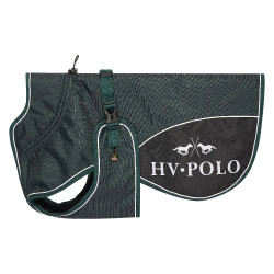 Casaco para cão HV Polo Essential Verde petróleo