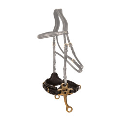 Hackamore Dy'on Preto