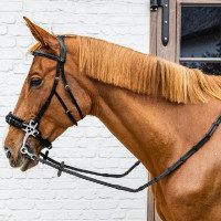 Rendas em borracha 5/8" coleção Dy'on Working com passadores em couro e mosquetão Preto Rendas em borracha 5/8" coleção Dy'on Working com passadores em couro e mosquetão Preto