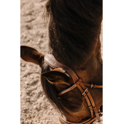 Bridão Eric Thomas Visby Havana Castanho