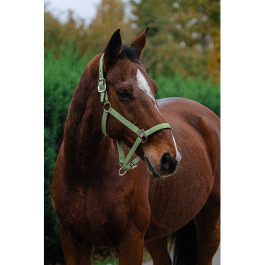 Caveção de Nylon com Mola Equithème Verde claro