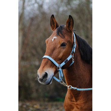 Caveção de Nylon com Mola Equithème Turquesa Azul Caveção de Nylon com Mola Equithème Turquesa Azul