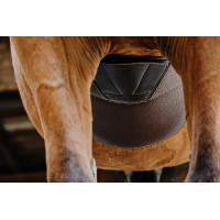 Cinta peitoral Magnet Norton Havana Castanho