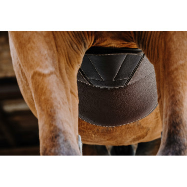 Cinta peitoral Magnet Norton Havana Castanho