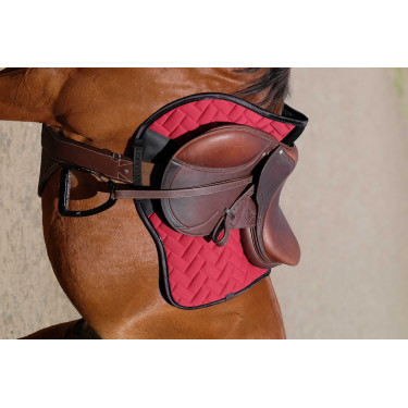 Cinta peitoral Magnet Norton Havana Castanho