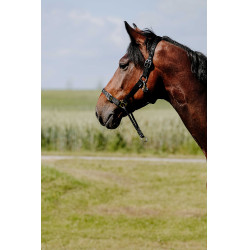 Caveção Norton Educativo Preto