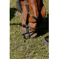 Caveção Norton Educativo Preto