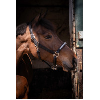 Caveção Pénélope Harmonie Castanho