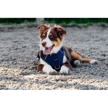 Arnês para cães RIDING WORLD - Simba Marinho Azul-marinho