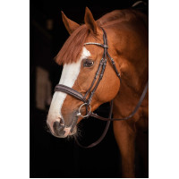 Bridão Pénélope Daily Strass SR Havana Castanho