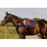 Peitoral NORTON - 5 pontos Havana Castanho