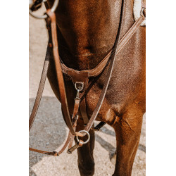 Peitoral NORTON - 5 pontos Havana Castanho