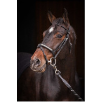 Bridão Pénélope Symphonie Preto