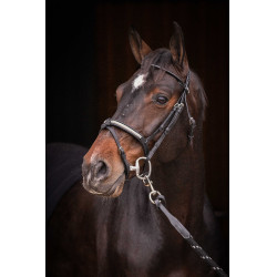 Bridão Pénélope Symphonie Preto