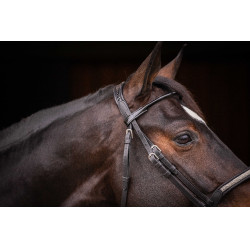 Bridão Pénélope Symphonie Preto