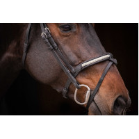 Bridão Pénélope Symphonie Havana Castanho