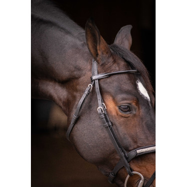 Bridão Pénélope Symphonie Preto