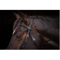 Bridão Pénélope Symphonie Havana Castanho