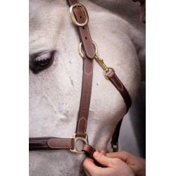 Caveção de couro com 3 mosquetões Paddock Sports Havana Castanho