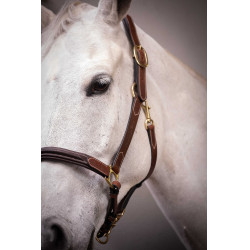 Caveção de couro com 3 mosquetões Paddock Sports Havana Castanho