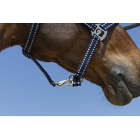 Cabresto Norton Grooming Azul-marinho