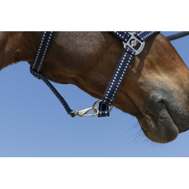 Cabresto Norton Grooming Azul-marinho