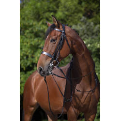 Noiva Riding World Preto Noiva Riding World Preto