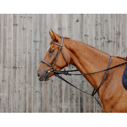 Enrêne Norton Pro Thiedeman Preto