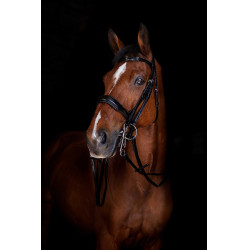 Rédias de bridão Eric Thomas Elite 16 mm Preto