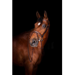 Rendas Hunter Eric Thomas Elite 16 mm Havana Castanho Rendas Hunter Eric Thomas Elite 16 mm Havana Castanho