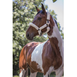 Cabeçada Norton com forro completo de lã sintética Preto / cru