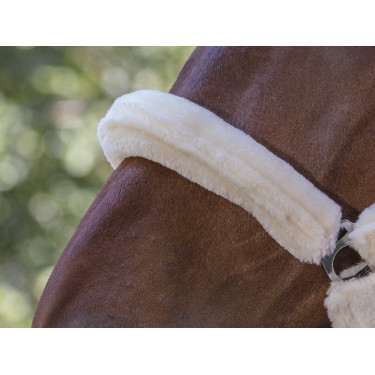 Cabeçada Norton com forro completo de lã sintética Preto / cru