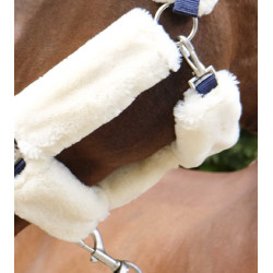 Caveção Equithème Teddy Marinho / cru Azul