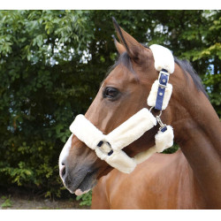 Caveção Equithème Teddy Marinho / cru Azul