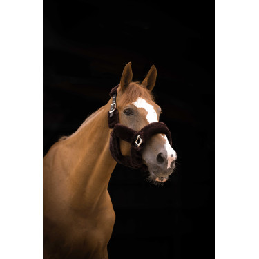 Caveção Equithème Teddy Preto / castanho