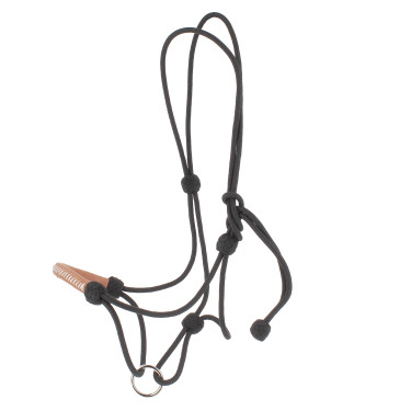 Cabresto etológico Pénélope americano Preto